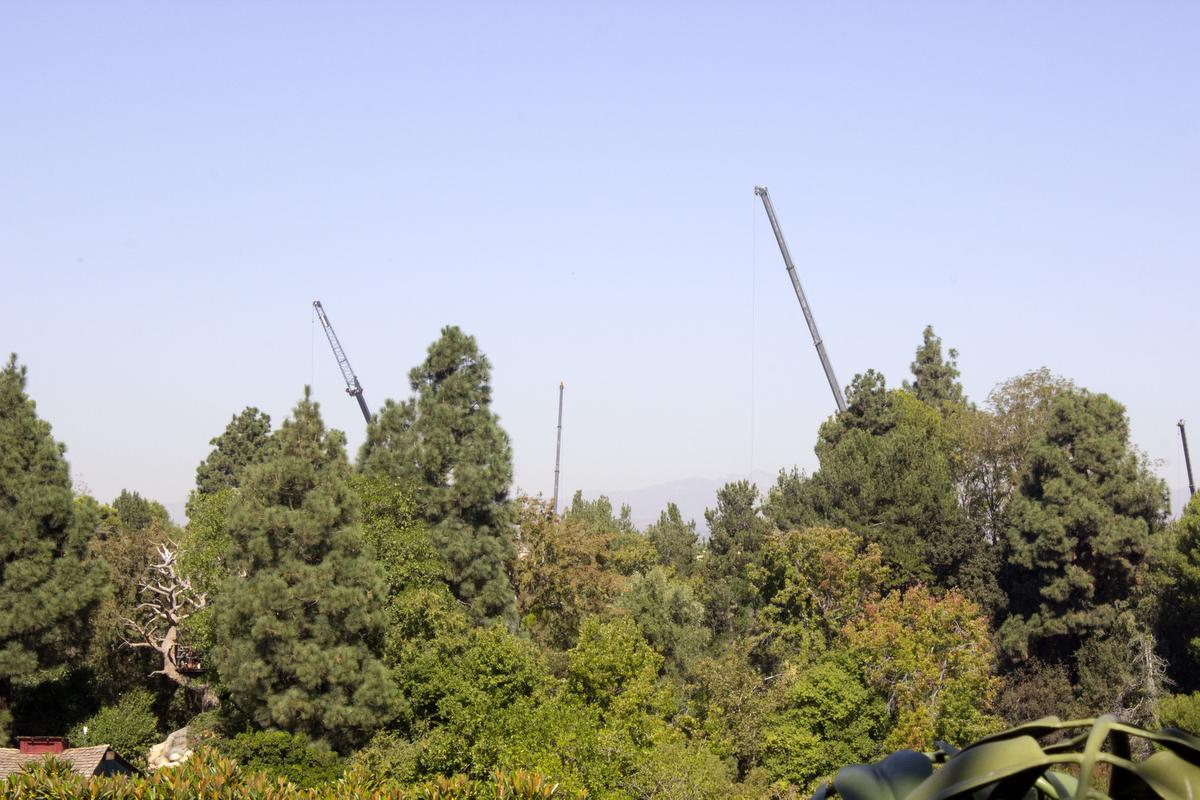 In this view from Tarzan's Treehouse inside Disneyland, the tall cranes loom above the trees on Tom Sawyer Island. in Anaheim on Wednesday, October 19, 2016. (Photo by Mark Eades, Orange County Register/SCNG)
