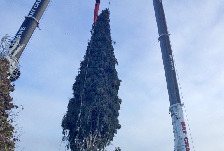 Bay Crane tandem lifts a 94′ tall Norway spruce making it the 2nd largest Rockefeller Center Christmas Tree ever