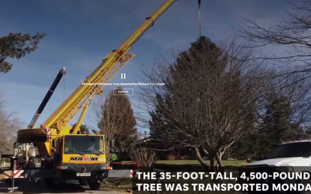 A Liebherr All Terrain Crane supplied by Maxim Crane lifts Tennessee Capitol Christmas Tree